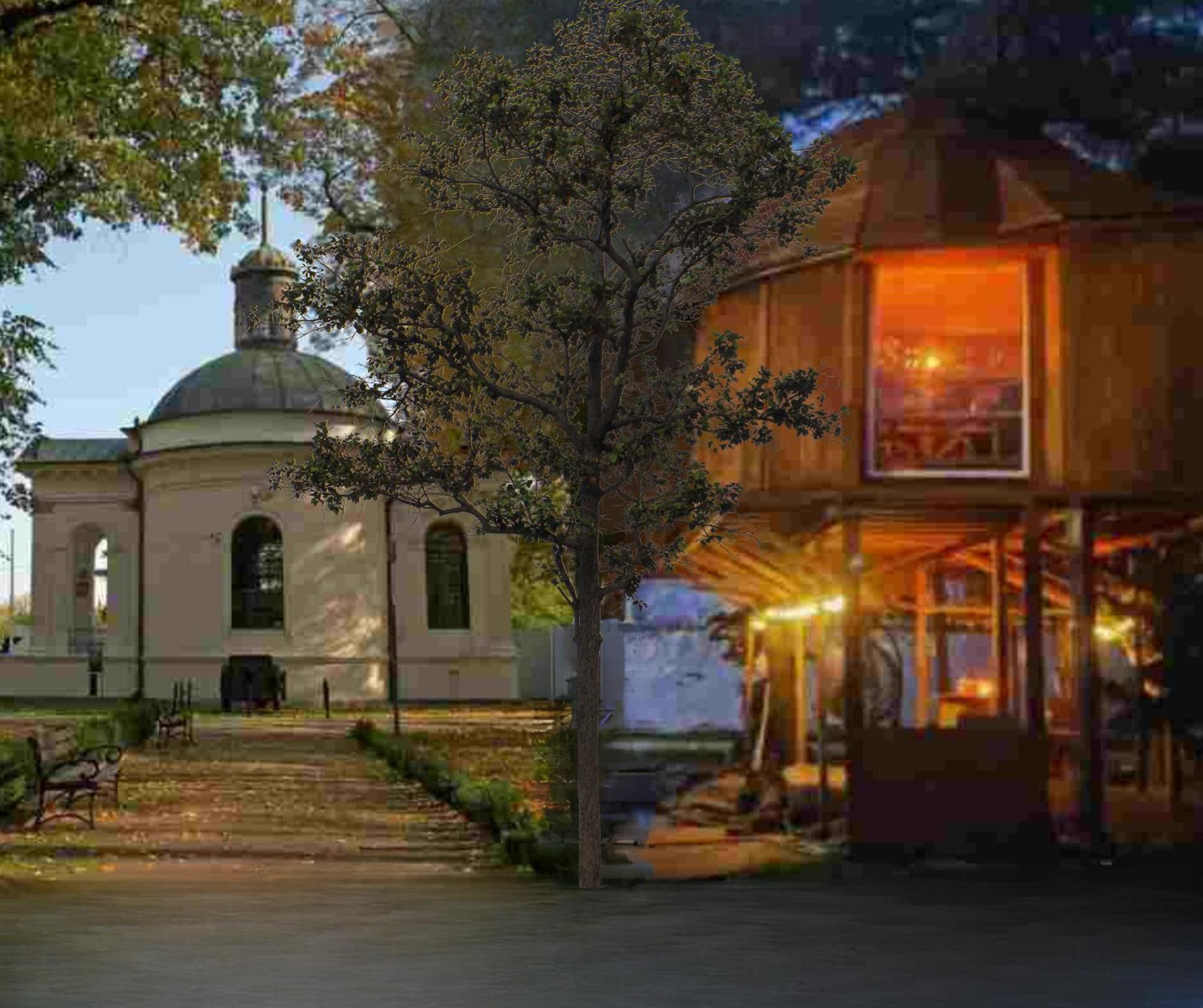 Nocleg W Koronach Drzew Kutno Zewnętrze zdjęcie